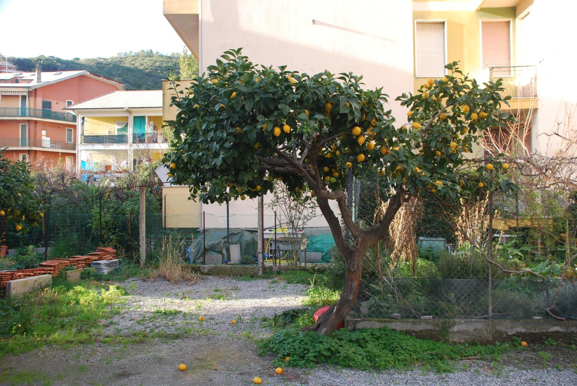 Tinetto Brezza Di Mare Appartement Deiva Marina Buitenkant foto